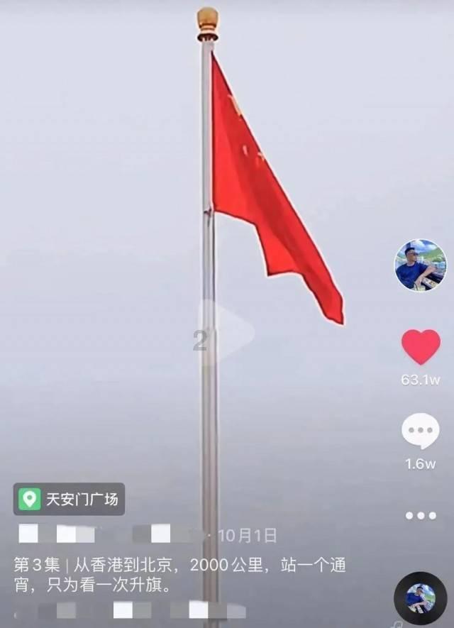 营救小猫头鹰