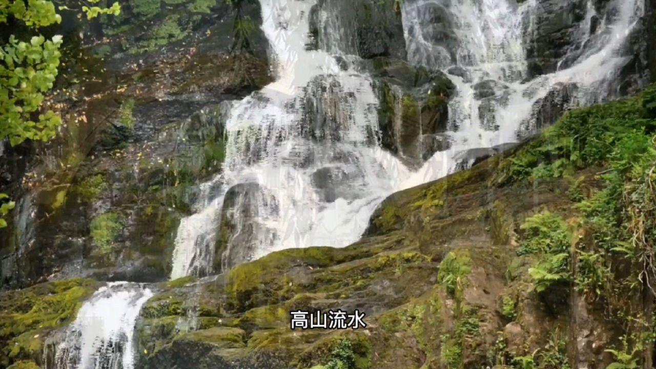 全民烧脑3去广告版